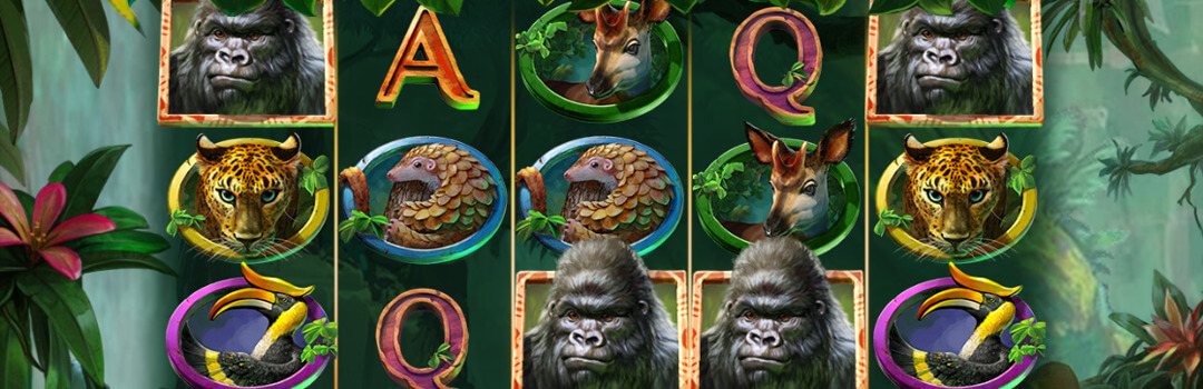 Spielen Sie Gorilla Kingdom Slot in der Schweiz